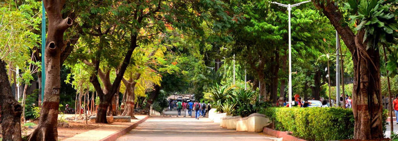 Street Campus Banner