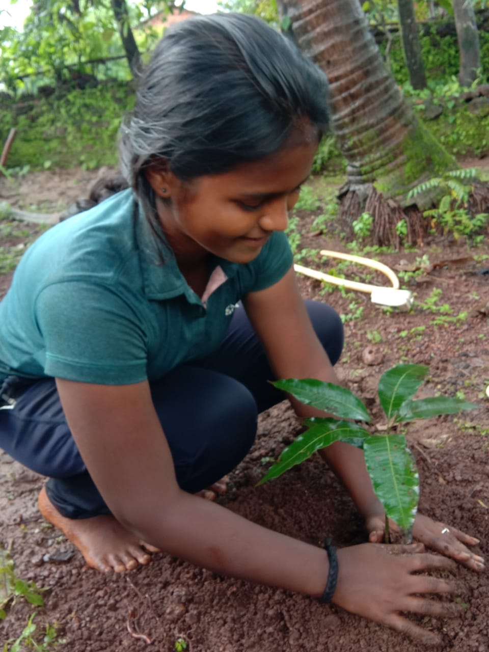 Tree Plantation 2020